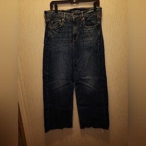 Women's size 10 American Eagle Super High Rise Baggy Wide Leg Jeans